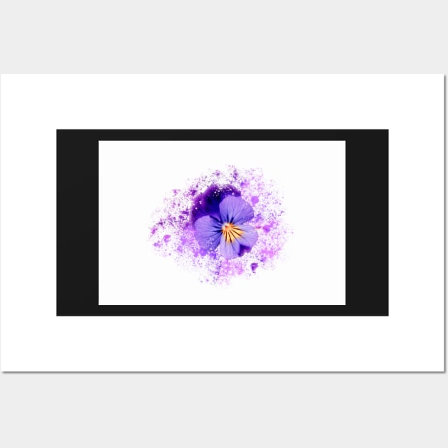 Purple pansy on white background Wall Art by RosNapier